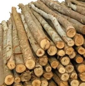 COMBO 30 ESCORAS DE MADEIRA EUCALIPTO 3M (JS)