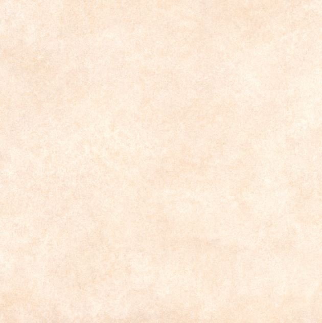 75d24f2e-d540-4f26-99bc-09b92d7fea0a PISO FORMIGRES RUGO BEGE HD 50X50 CX 2,50MT