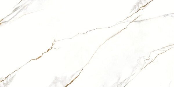 PORCELANATO VENE DORO 60X120 POLIDO DELTA 2,88MT