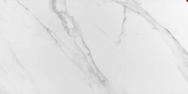 PORCELANATO PLACE POLIDO 60X120 ELIANE (1,44)/